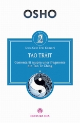Tao trait - comentarii asupra unor fragmente din Tao Te Ching (2)